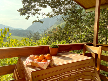 CABAÑA - GUAYABA - desde