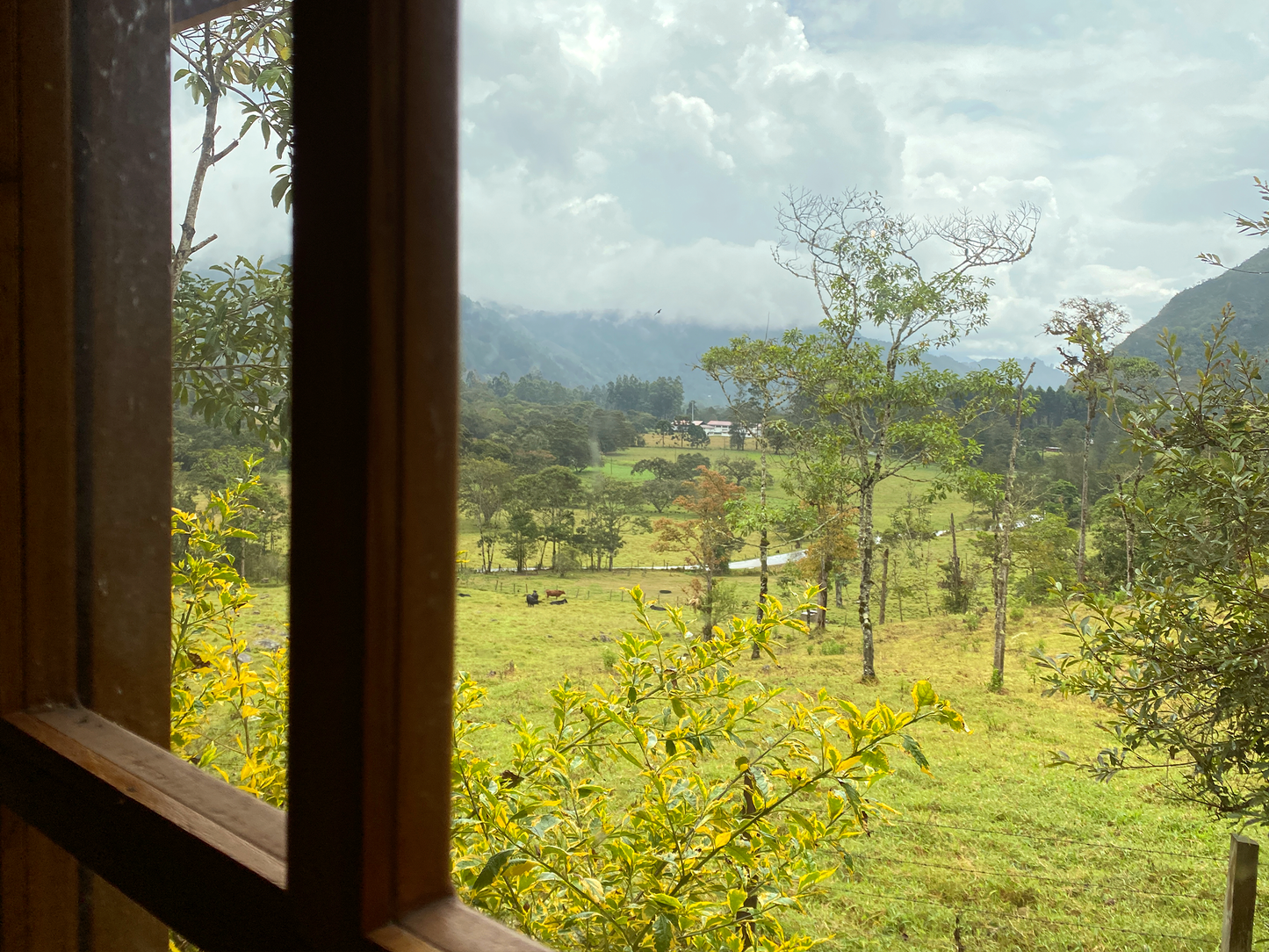 CABAÑA - NOGAL -         desde