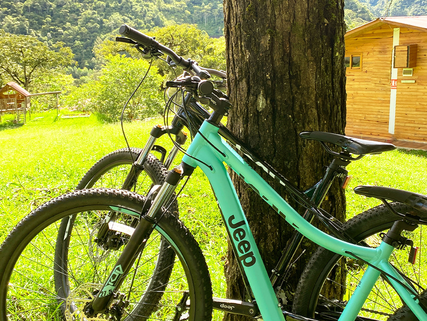 PASEO EN BICICLETA - desde