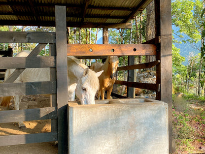 INTERACCIÓN CON ANIMALES