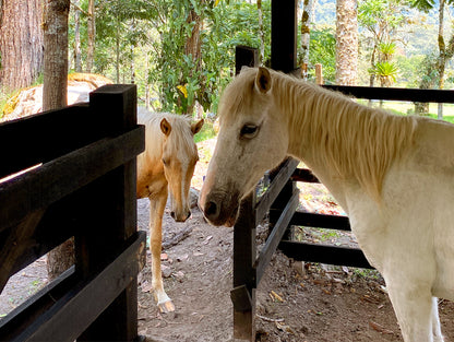 INTERACCIÓN CON ANIMALES