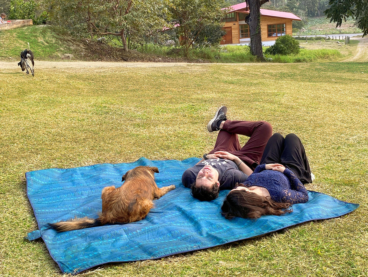 INTERACCIÓN CON ANIMALES