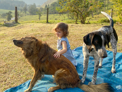 INTERACCIÓN CON ANIMALES